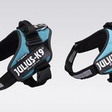 Julius-K9 Hundegeschirr