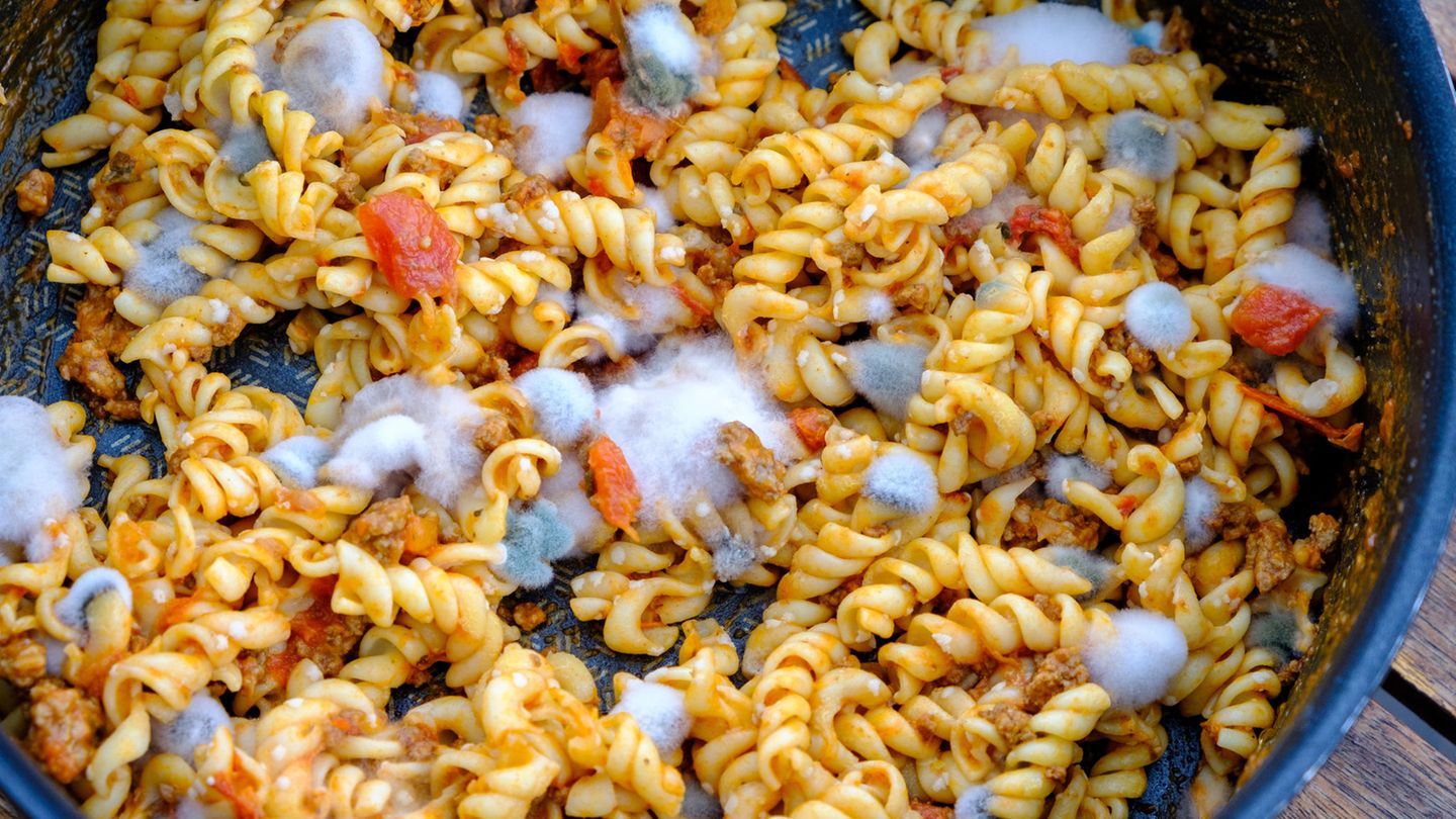 Gut zu wissen: Schimmel ist DER Indikator dafür, dass das Essen nicht mehr gut ist. Schimmelsporen und Keime können sich bereits an Stellen verbreitet haben, an denen noch kein Schimmel sichtbar ist. Deshalb bringt es auch nichts, schimmelige Stellen zu entfernen. Werfen Sie die Lebensmittel daher besser in den Müll. Schimmel ist DER Indikator dafür, dass das Essen nicht mehr gut ist. Schimmelsporen und Keime können sich bereits auch an Stellen verbreitet haben, an denen noch kein sichtbarer Schimmel zu sehen ist. Deshalb bringt es auch nichts, schimmelige Stellen zu entfernen. Werfen Sie die Essensreste dann besser in den Müll.