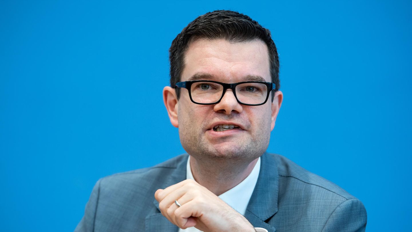 Marco Buschmann, Erster Parlamentarischer Geschäftsführer der FDP-Bundestagsfraktion