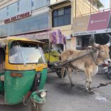 Der Verkehr in Indien zeigt wie es um die Elektromobilität in dem großen Land wirklich steht