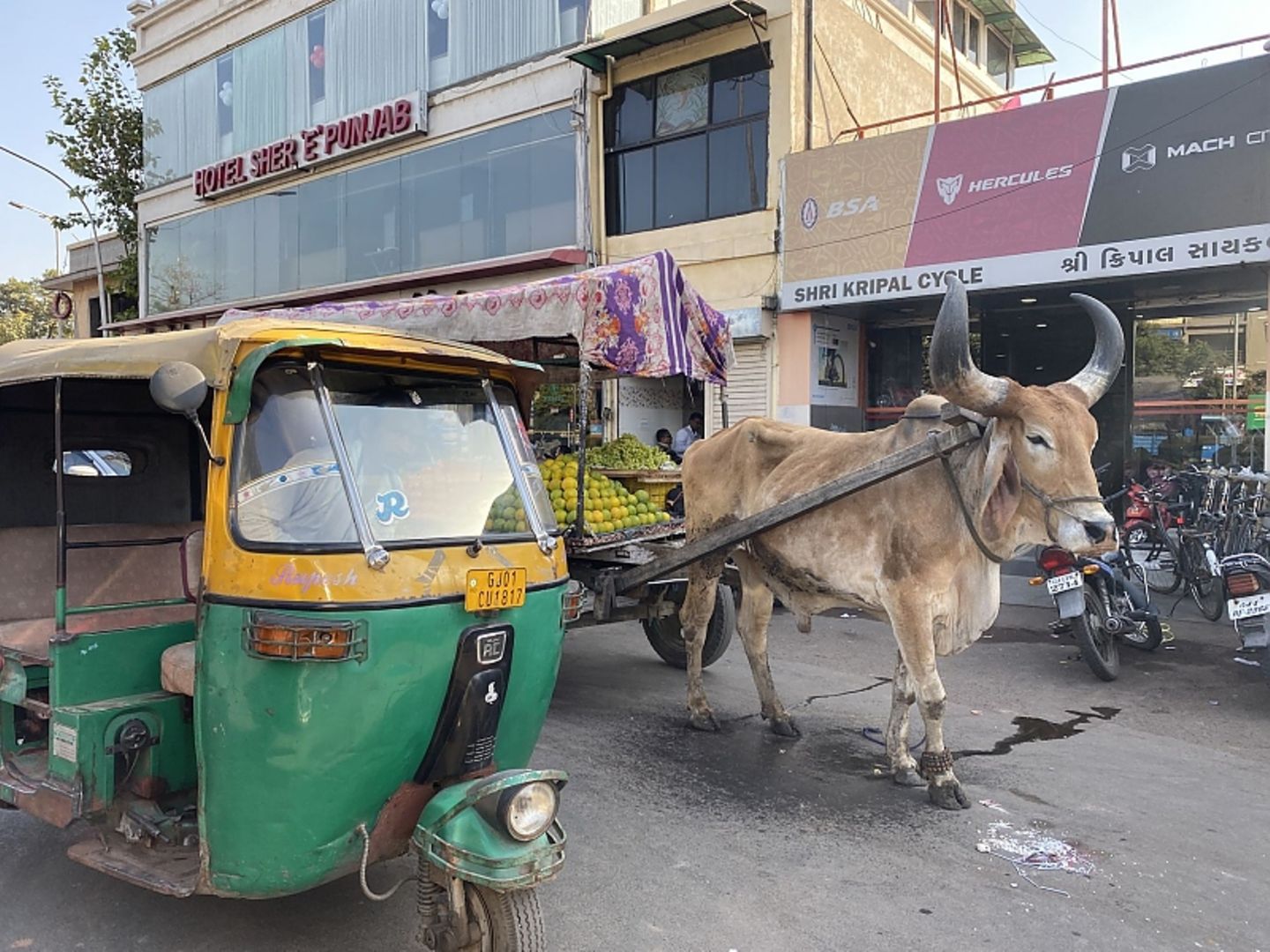 Der Verkehr in Indien zeigt wie es um die Elektromobilität in dem großen Land wirklich steht