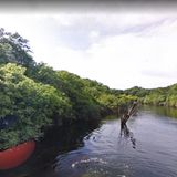 Kartendienst: Schwarzer Fluss Der Rio Negro, ein Seitenfluss des Amazonas, birgt viele Geheimnisse. Bei Google können wir sie mit dem Kanu erkunden.