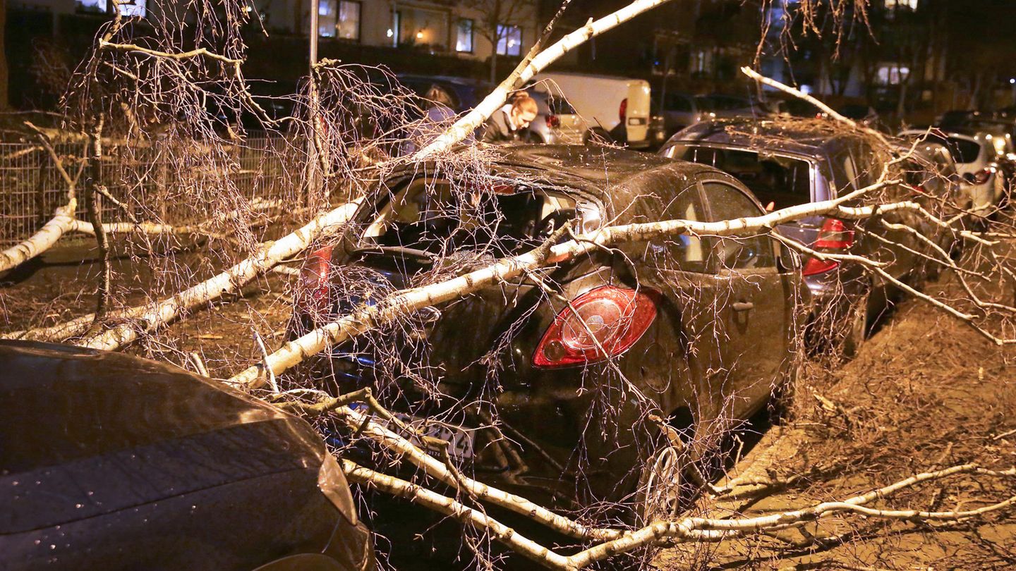 Düsseldorf, Nordrhein-Westfalen: Ein geparktes Auto ist von einem umgestürzten Baum bedeckt. In NRW kam es zu Ausfällen im Bahnverkehr, auch Flüge wurden gestrichen. Der Unterricht fiel an vielen Schulen aus. 