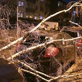 Düsseldorf, Nordrhein-Westfalen: Ein geparktes Auto ist von einem umgestürzten Baum bedeckt. In NRW kam es zu Ausfällen im Bahnverkehr, auch Flüge wurden gestrichen. Der Unterricht fiel an vielen Schulen aus. 