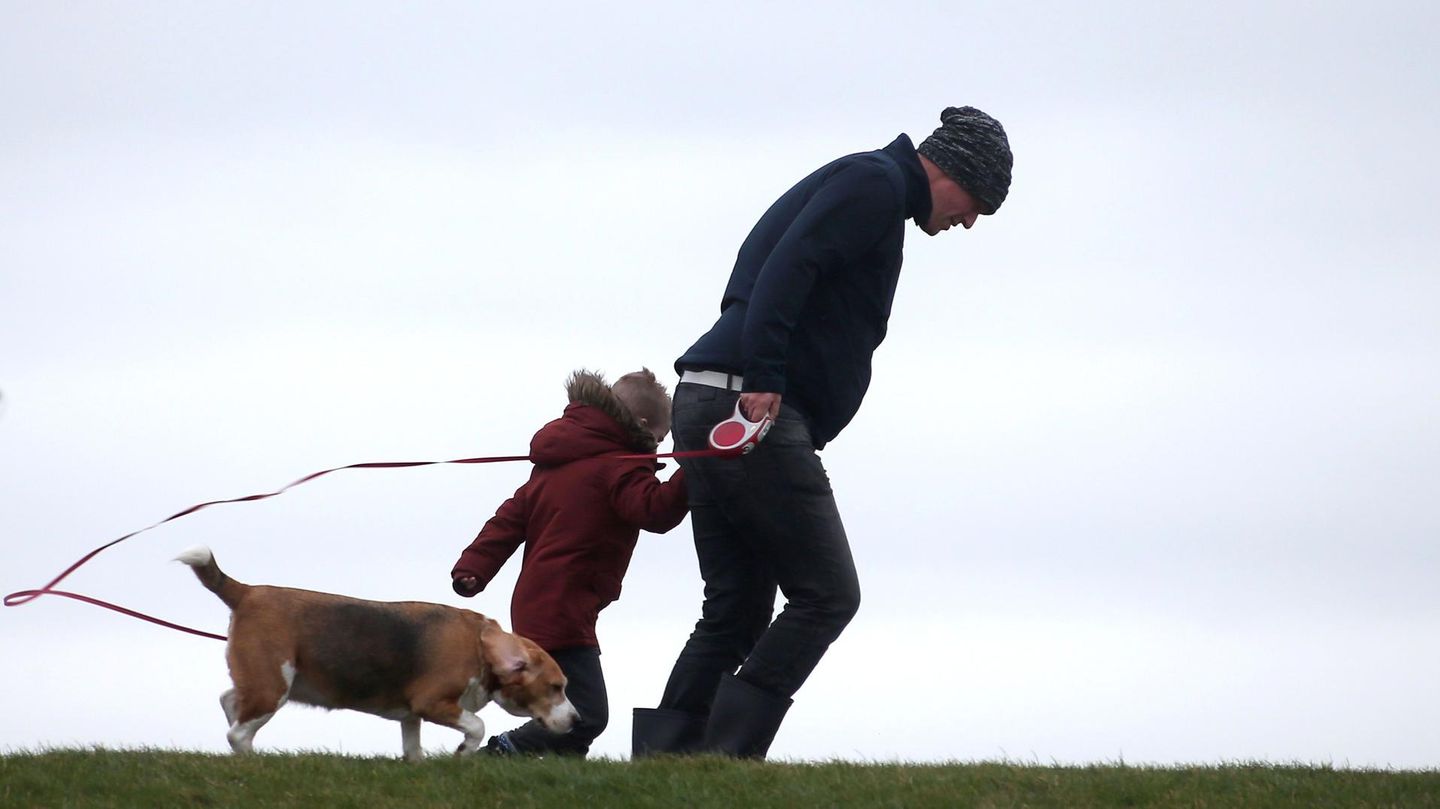 Harlingen, Niederlande: Egal ob es stürmt oder schneit, der Hund muss auch mal an die frische Luft, wie hier an der niederländischen Nordseeküste. Hier traf das Sturmtief mit heftigem Wind und Starkregen auf die Küste. 