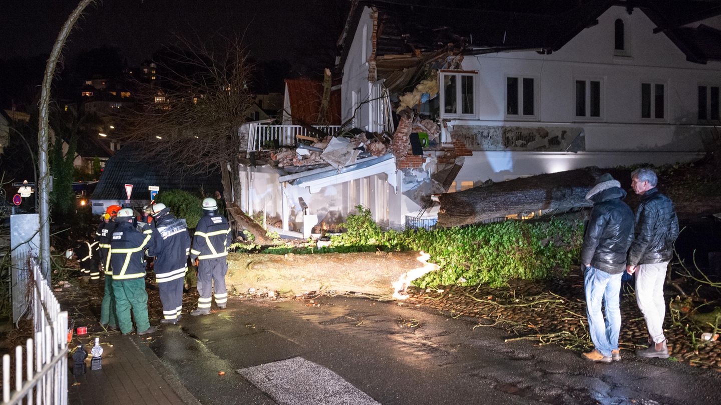 Hamburg: Einsatzkräfte der Feuerwehr und der Bewohner des Hauses begutachten den Schaden an einem Haus. Ein Baum ist infolge des Durchzugs von Sturmtief "Sabine" durch den starken Wind umgekippt und hat im Hamburger Treppenviertel Teile eines Wohnhauses stark beschädigt.