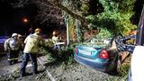Freiburg, Baden-Württemberg: Ein Baum ist durch Orkanböen des Sturmtiefs "Sabine" auf ein Auto gestürzt.