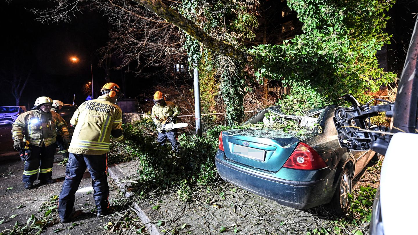 Freiburg, Baden-Württemberg: Ein Baum ist durch Orkanböen des Sturmtiefs "Sabine" auf ein Auto gestürzt.