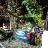 Freiburg, Baden-Württemberg: Ein Baum ist durch Orkanböen des Sturmtiefs "Sabine" auf ein Auto gestürzt.