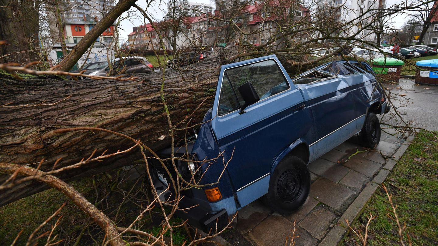 Kolberg, Polen: Im Zuge des Orkantiefs "Ciara" hat ein umgestürzter Baum ein parkendes Fahrzeug beschädigt. Durch den Orkan kamen in Polen zwei Menschen ums Leben. Eine Frau und ihre Tochter starben durch ein herunterstürzendes Dach, das von Windböen von fast hundert Kilometern pro Stunde vom Gebäude gerissen worden war.