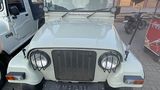 Die Optik verrät es: Der Mahindra Jeep ist letztendlich Nachfahre des legendären Jeep Willys CJ-3B