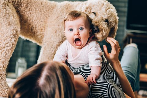 Baby und Hund