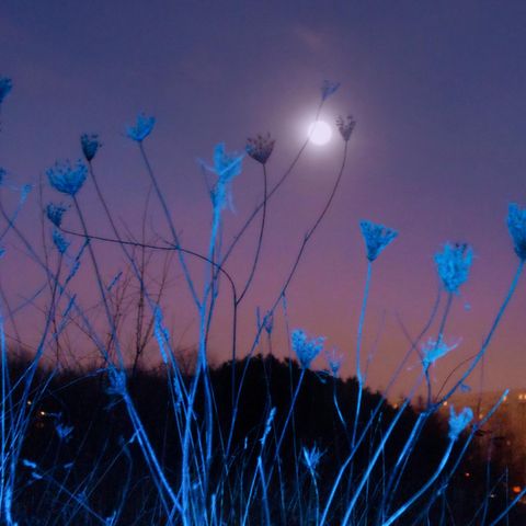 Mond über Florenz