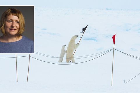 Größte Arktis-Expedition der Geschichte: "Eisbären sind die größte Gefahr" – Journalistin spricht über ihre Erfahrungen im "ewigen Eis"