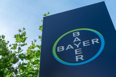 Bayer Logo
