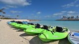 Zu den kostenpflichtigen Aktivitäten auf Ocean Cay zählen unter anderem Entdeckertouren im Kayak (35 Dollar), ein Schnuppertauchkurs (134 Dollar) oder eine Schnorcheltour zu einem Schiffswrack (53 Dollar)