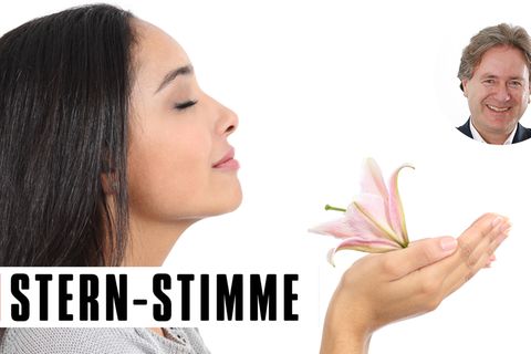 Der Mensch hat ungefähr zehn Millionen Riechzellen