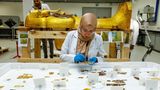 Puzzle in der Werkstatt