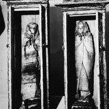 Wächter für die Eingeweide