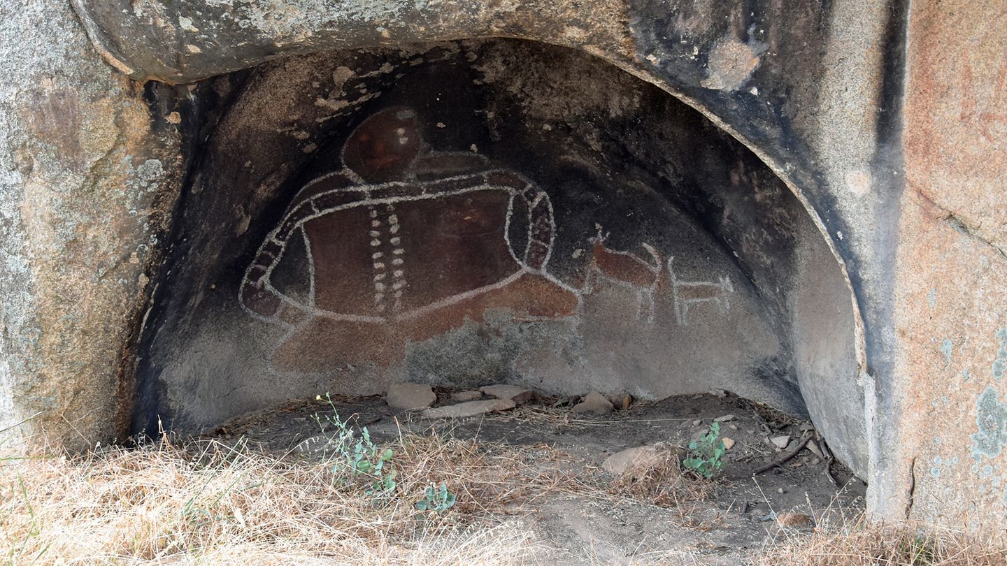 Feslzeichung Bunjil Shelter