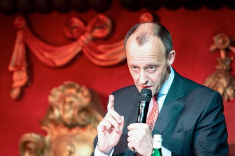 Friedrich Merz