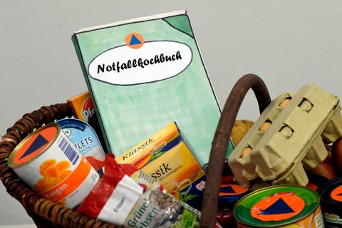 Ein Einkaufskorb mit Lebensmitteln