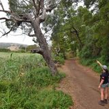 Beim Wandern in Tower Hill