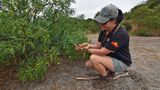 Emily kniet vor einem Strauch mit Kangaroo Apples