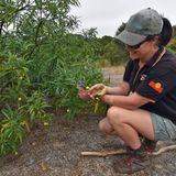 Emily kniet vor einem Strauch mit Kangaroo Apples
