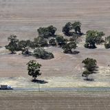 Langer Truck auf Landstraße von oben