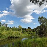 Royal Botanic Gardens Victoria