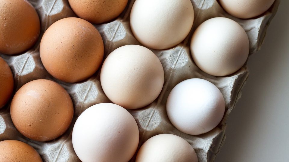 Frischetest: Wie erkennt man, dass Eier noch gut sind?