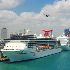 Hier gehen täglich bis zu 15.000 Passagiere an Bord: der Kreuzfahrthafen von Miami auf Dodge Island 