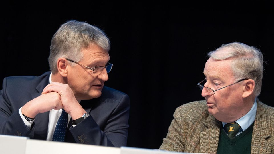 Krude Sicht auf die Morde von Hanau: die AfD-Politiker Jörg Meuthen und Alexander Gauland