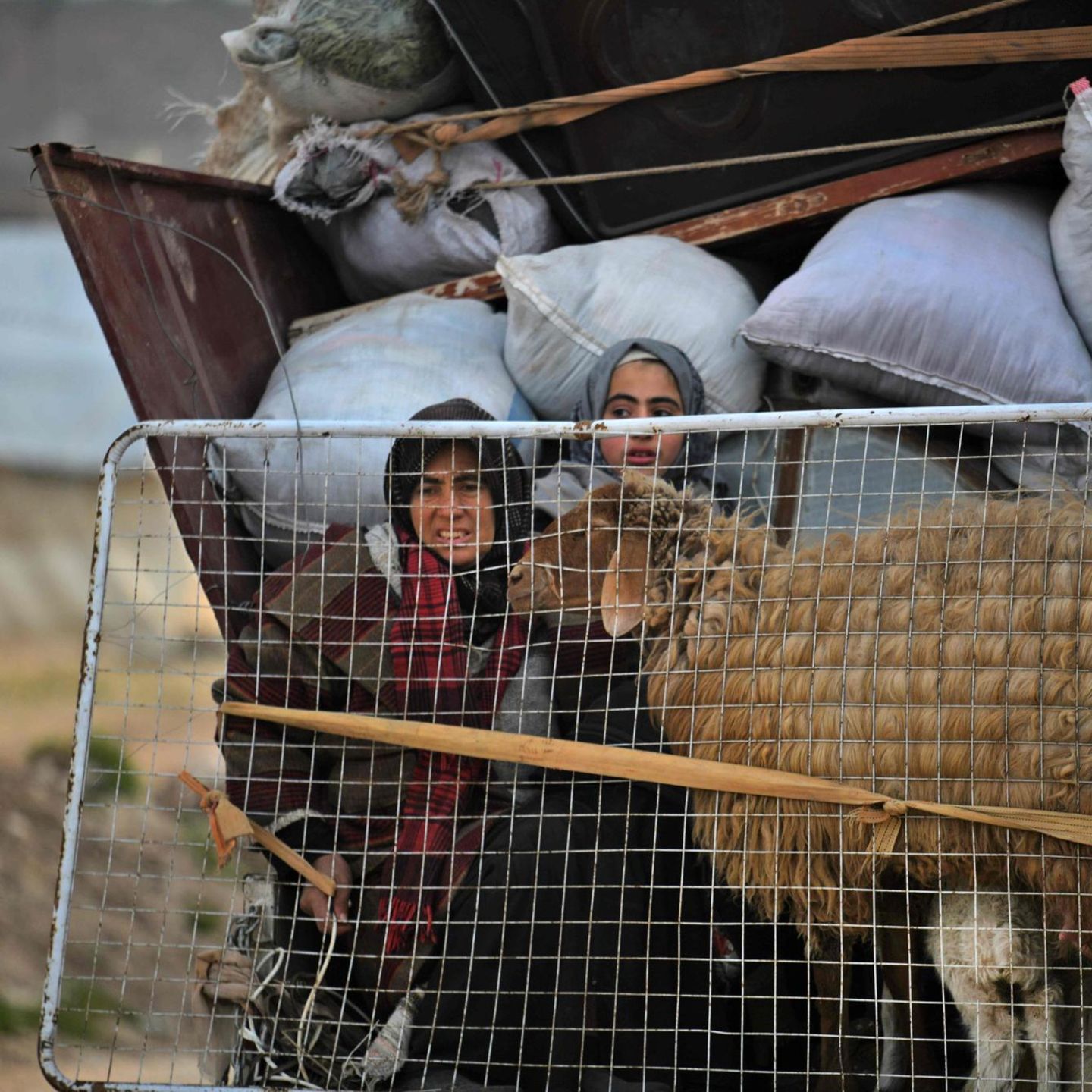 Syrien Langsam Gehen Den Helfern Die Worte Fur Die Fluchtlingsdramatik Aus Stern De