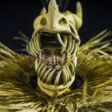 Scharfe Zähne: Hier ein Maskenträger der Sambaschule Estacio De Sa