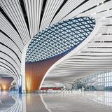 Ein Flughafenterminal, das wie eine riesige weiße Baumkrone aussieht