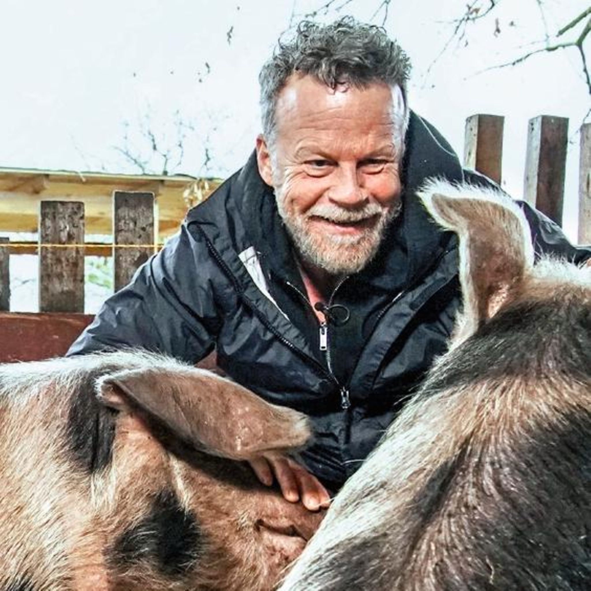 Jenke von Wilmsdorff lebte mit einer Sau zusammen. Was war das für eine  Erfahrung? | STERN.de
