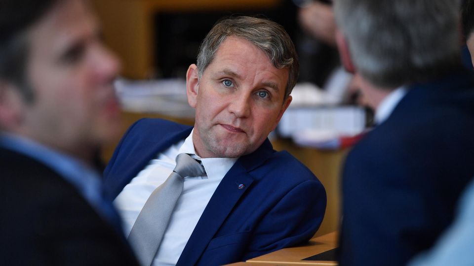 Björn Höcke, Fraktions- und Landeschef der AfD in Thüringen