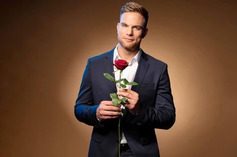 Der Bachelor