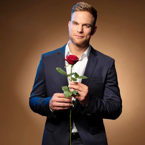 Der Bachelor