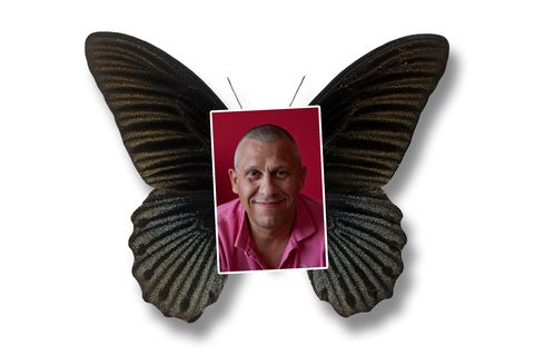Ein Bild von Martin Kok mit Schmetterlingsflügeln