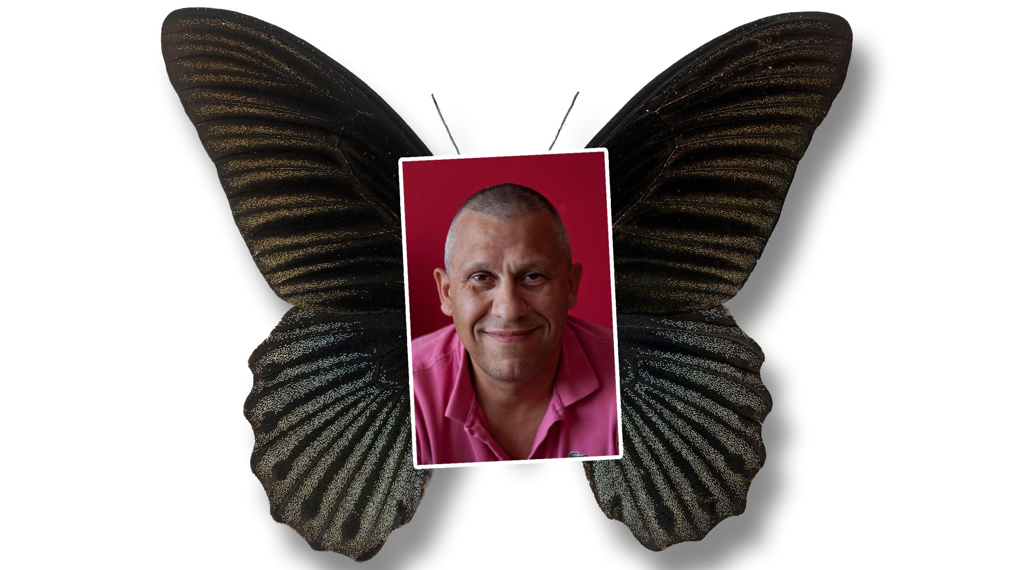Ein Bild von Martin Kok mit Schmetterlingsflügeln