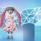 The Masked Singer
