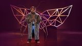 The Masked Singer