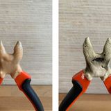 Die Seitenschneider wird mit der Paste überdeckt