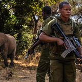 Patrouille im Elefantenschutzgebiet
