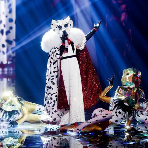 Die Figur "Der Dalmatiner" steht in der Prosieben-Show "The Masked Singer" auf der Bühne
