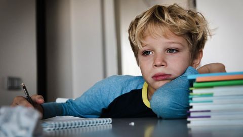 Schulsystem: Taugt mein Kind zum Akademiker? Über den Leistungsdruck an Grundschulen