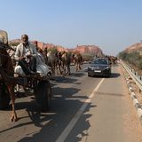Der Verkehr in Indien läuft nach anderen Regeln ab
